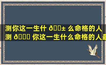测你这一生什 🐱 么命格的人（测 🐈 你这一生什么命格的人最好）